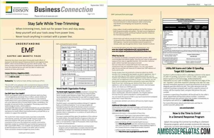 realista Conta de serviços públicos EDISON do sul da Califórnia dos EUA, modelo Word e PDF, 8 páginas 7 8